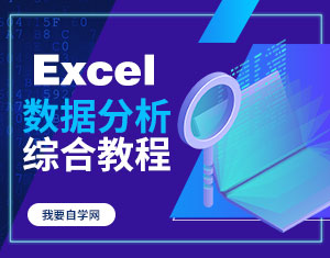 Excel數(shù)據(jù)分析綜合教程